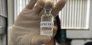 Pesquisa da UFMG Recebe Prêmio Euro Inovação na Saúde