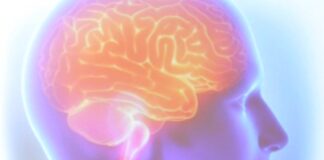 Dia Mundial do AVC: Alerta sobre prevenção e cuidados em meio à alta incidência da doença