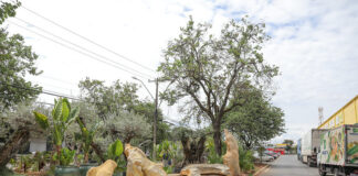 Adote Uma Praça ultrapassa meta anual, com R$ 8,3 milhões em investimentos