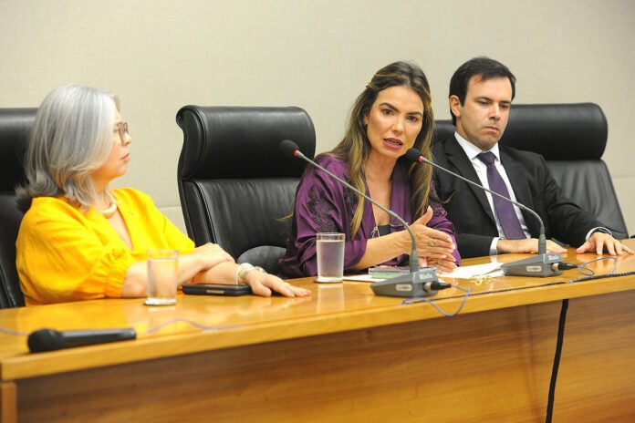 Em audiência, CLDF discute transparência na execução do PDAF brasilia