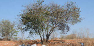 Destinação inadequada de resíduos sólidos ainda atinge 41,5% em 2023