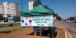 ZOONOSE VALPARAÍSO É DESTAQUE NA CAMPANHA DE VACINAÇÃO ANTIRRÁBICA DO ENTORNO