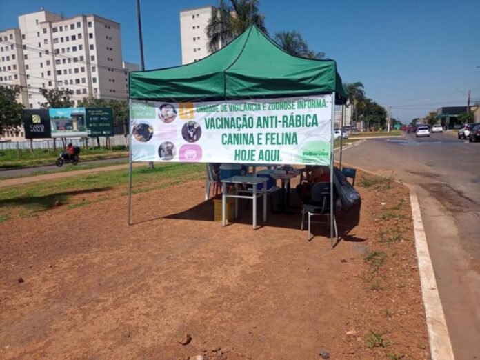 ZOONOSE VALPARAÍSO É DESTAQUE NA CAMPANHA DE VACINAÇÃO ANTIRRÁBICA DO ENTORNO brasilia