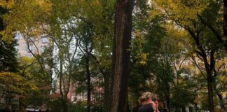 Ana Castela e Gustavo Mioto Espalham Romance e Alegria em Viagem pelos EUA