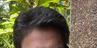 Sandra Annenberg é Internada após Incidente com Taturana Venenosa