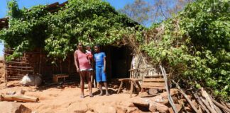 Aumento Alarmante da Violência Contra Comunidades Quilombolas: Estudo Revela Cenário Preocupante