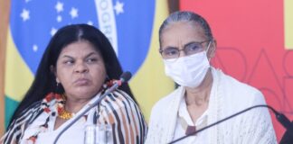 Desmatamento na Amazônia Legal cai 22,3% em 2023, aponta relatório do Inpe