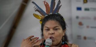 Ministra dos Povos Indígenas pede apoio internacional contra derrubada do veto ao Marco Temporal