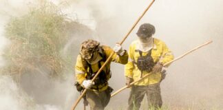 GDF investe em ações conjuntas para evitar incêndios na época da seca