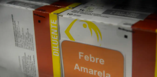 Fiocruz Realiza Histórica Transferência de Tecnologia de Vacina Contra a Febre Amarela para Laboratórios Argentinos