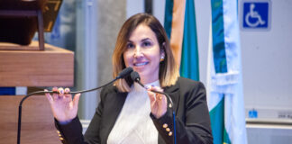 CLDF celebra dia internacional do voluntário com homenagens a profissionais da saúde deputada Dayse Amarílio