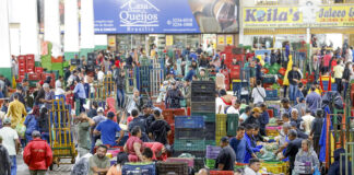 Ceasa-DF movimenta 30 mil toneladas de produtos para ceias de Natal