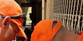 Projeto de cara nova une consciência ambiental e combate à dengue