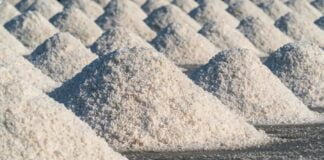 A busca por um sal mais saudável: mitos e verdades sobre o consumo de sal