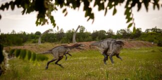 Novo estudo sugere que dinossauros enfrentaram ameaças climáticas antes do impacto do meteoro