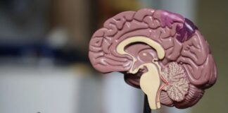 Estimulação Elétrica Pode Impulsionar Função Cognitiva em Pacientes com Alzheimer