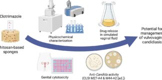 Pesquisadores desenvolvem esponja biodegradável para tratamento da candidíase vulvovaginal