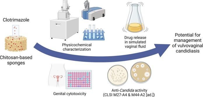 Pesquisadores da UFSCar Desenvolvem Esponja Biodegradável para Tratamento da Candidíase Vulvovaginal saude