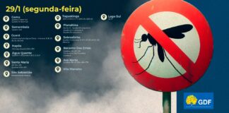 Veja a rota do fumacê: Ação preventiva em 14 regiões administrativas