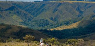 Brasil possui mais de 51 milhões de hectares com sobreposições de imóveis rurais e áreas protegidas
