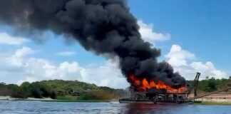 Operação “A Praia é Nossa” une forças contra extração ilegal no Amazonas