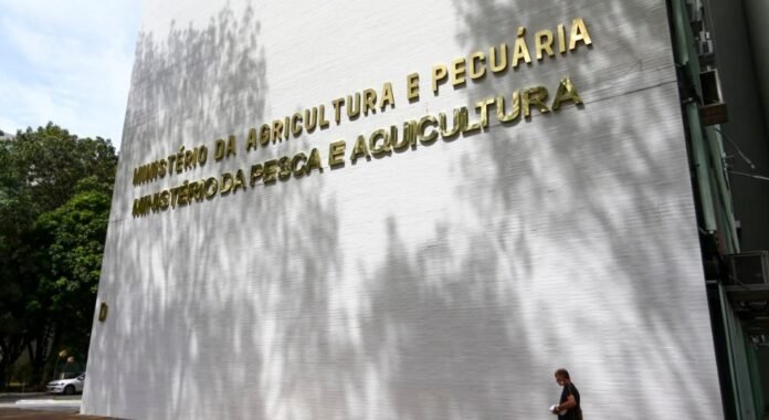 Ministério da Agricultura Abre 200 Vagas para Auditor-Fiscal Federal Agropecuáriomundo MAPA economia politica agro