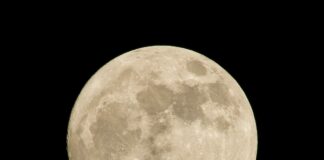 Lua do Lobo brilha no céu e esconde Marte em espetáculo celestial