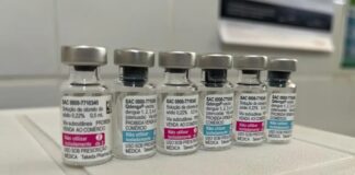 Farmacêutica Takeda prioriza fornecimento da vacina contra dengue ao Ministério da Saúde