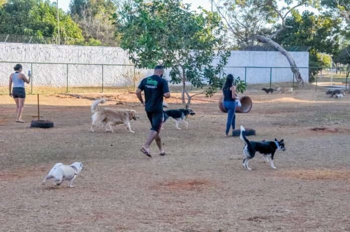 Ação comunitária cria manhã interativa para pets no Sudoeste brasilia