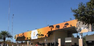 Zoológico de Brasília abre inscrições para visitas noturnas em setembro