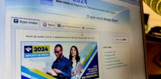 Número de declarações do imposto de renda supera 30 milhões