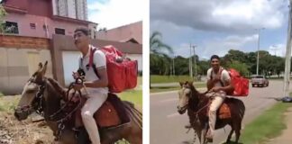 Entregador em Palmas surpreende ao fazer entregas de delivery em um burro