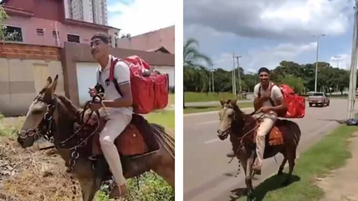 Entregador em Palmas surpreende ao fazer entregas de delivery em um burro