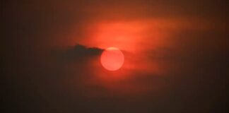 Onda de calor aumenta risco de estresse térmico