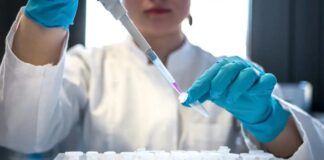 Senai expandirá apoio a micro e pequenas empresas para aumentar produtividade em 2025