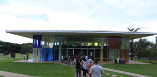 Caps II Brasília comemora 7 anos com visita de pacientes a exposição no CCBB