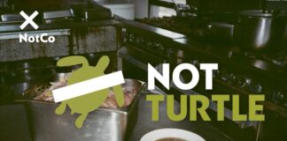 Empresa chilena recria sopa de tartaruga usando inteligência artificial