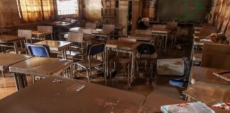 Porto Alegre envia dados de 59 mil famílias para Auxílio Reconstrução