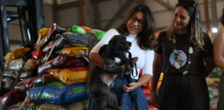 FAB envia 20 toneladas de ração e itens para pets vítimas das enchentes no RS