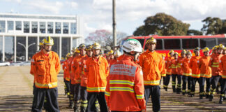 Operação Verde Vivo intensifica combate aos incêndios florestais