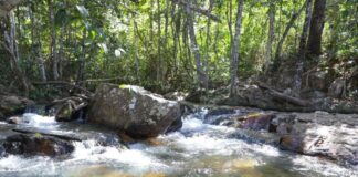 Distrito Federal aprova resolução sobre gestão de recursos hídricos