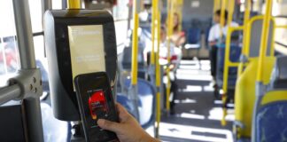 Vai de Graça e Lazer para Todos: Entrada gratuita e transporte sem tarifa atraem mais de 600 mil acessos no feriado da Consciência Negra