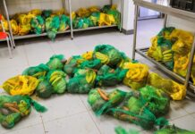 Veja as regras para receber a Cesta Verde no DF