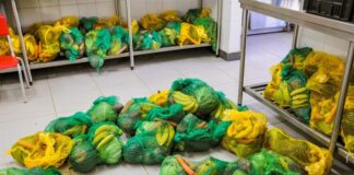 GDF já entregou mais de 356 mil cestas verdes a beneficiários de programas sociais