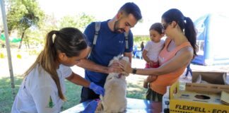 Julho Dourado levanta a importância de vacinar os pets e prevenir zoonoses