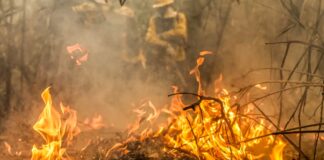 Governo de SP cria gabinete de crise para combater incêndios