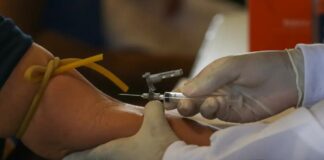 Bahia confirma duas mortes por febre oropouche