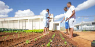 GDF impulsiona crédito agrícola com investimento de R$ 8 milhões