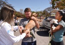 Campanha de castração de cães e gatos gratuita oferece 1.800 vagas na próxima semana