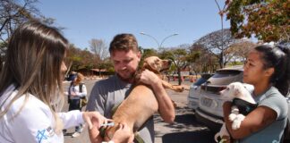 Campanha de castração de cães e gatos gratuita oferece 1.800 vagas na próxima semana